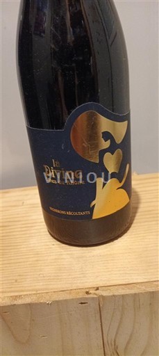 Víno Rouge sec La Divine Non millésimé Francie Údolí Rhôny Côtes-du-Rhône AOC