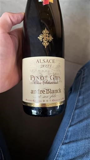 Вина Blanc sec Clos Schwendi André Blanck 2023 Francuska Алзас Аласас Vin de France