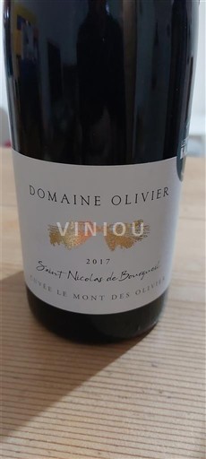 Loire-dalen Saint-Nicolas-De-Bourgueil Domaine Olivier Le Mont des Oliviers 2017