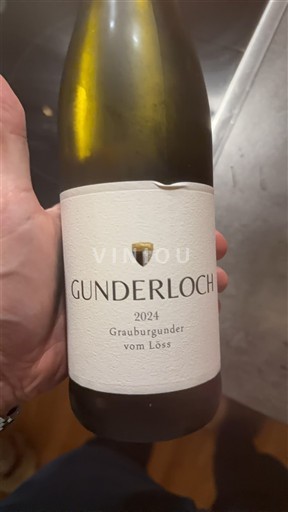 Rheinhessen Gunderloch Grauburgunder vom Löss 2024
