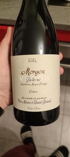 Beaujolais Morgon Vins Mélanie et Daniel Bouland Bellevue 2024