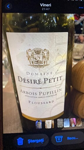 Jura Arbois-Pupillin Domaine Désiré Petit Ploussard Không niên vụ