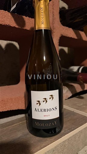 Lorraine Không được chỉ định Molozay Alerions Không niên vụ