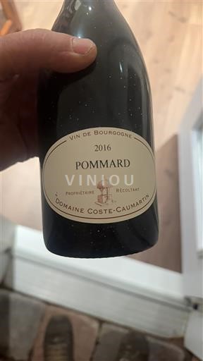 Burgundy Pommard Domaine Coste-Caumartin 2016