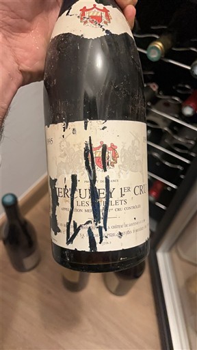 Burgundy Mercurey Premier Cru Château Santenay Les Puillets 1995