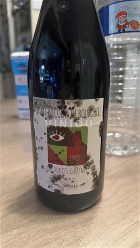 Loire-dalen Saint-Nicolas-De-Bourgueil Les Bouquins Douces Collines Ikke årgangsbestemt