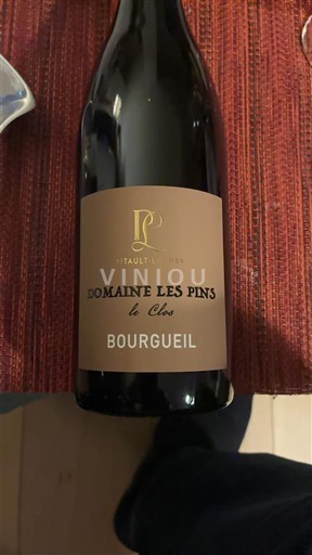 Vallée de la Loire Bourgueil Domaine Les Pins Le Clos 2021