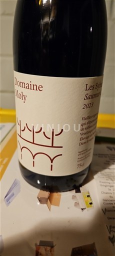 Loirevallei Saumur Domaine Moly Les Sylves 2023
