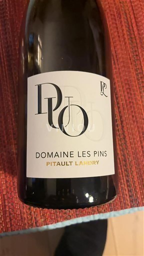 Vallée de la Loire Bourgueil Domaine Les Pins Duo Chardonnay-Sauvignon 2023