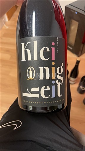 Baden Wechselbergweingarten Kleinigkeit 2019