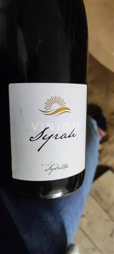 Languedoc ja Roussillon Pays d'Oc Domaine Aguille Syrah Ei vuosikertaa