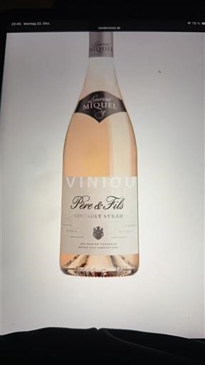 Linguadoca e Rossiglione Paese d'Oc Laurent Miquel Père & Fils Cinsault Syrah Senza annata