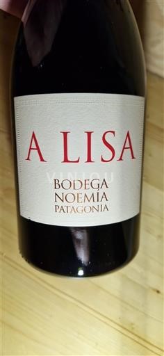 Patagonia Unspecified Bodega Noemía A Lisa 2024