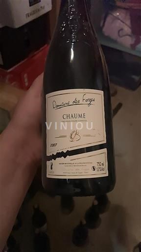 Valle della Loira Chaume Domaine S Forges 2007