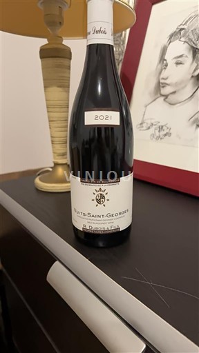 Burgundija Nuits-Saint-Georges Domaine R. Dubois & Fils 2021