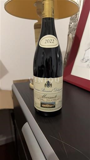 Bourgogne Meursault Domaine Renaud Boyer Au village - clos du domaine 2022