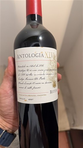 Mendoza Thung lũng Uco Rutini Antología XLVI 2014