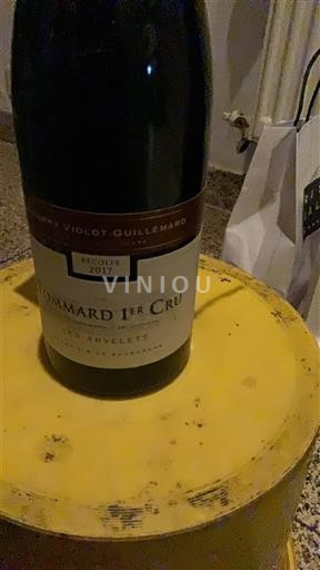 Burgundi Määrittelemätön Premier Cru Domaine Violot-Guillemard Les Arvelets 2017