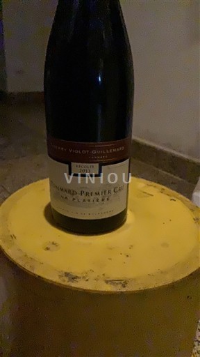 Borgoña Pommard Premier Cru Domaine Violot-Guillemard Les Rugiens Bas 2013