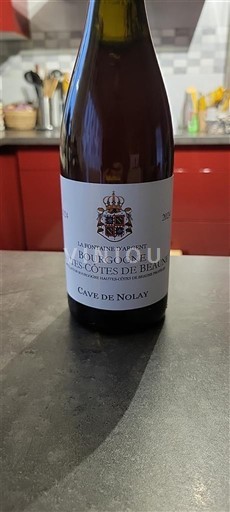 Bourgogne Không được chỉ định Cave de Nolay La Fontaine d'Argent Không niên vụ