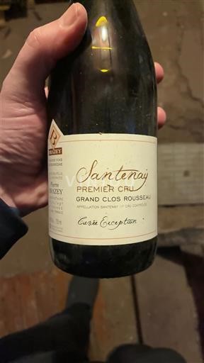 Burgundsko Santenay Premier Cru Domaine Pierre Bourée Fils Exception 2016