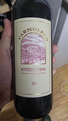Vénétie Montello Rosso Parmoleto 2016