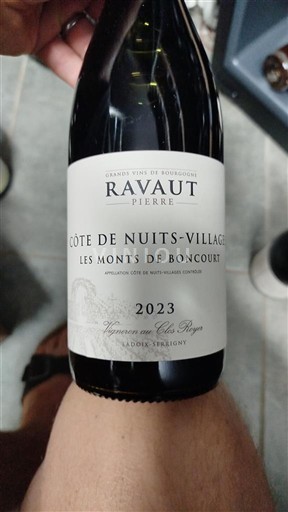 Burgundsko Côte de nuits villages Domaine Pierre Ravaut Les Monts de Boncourt 2023