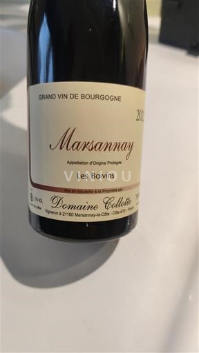 Bourgogne Marsannay Domaine Collotte Les Boivins 2022