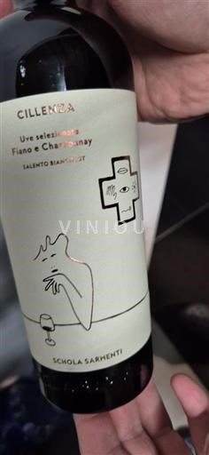 Apulie Nespecifikováno Schola Sarmenti Cillenza 2023