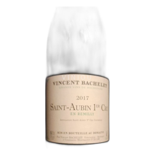 Burgundsko Saint-Aubin Premier Cru Vincent Bachelet En Remilly 2017