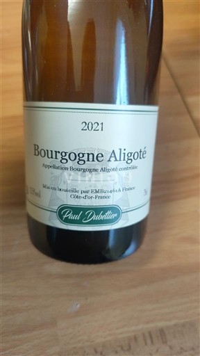 Burgundsko Bourgogne-aligoté Paul Dubrillot 2021