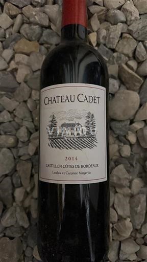 Bordeaux Castillon-côtes-de-bordeaux Château Cadet 2014