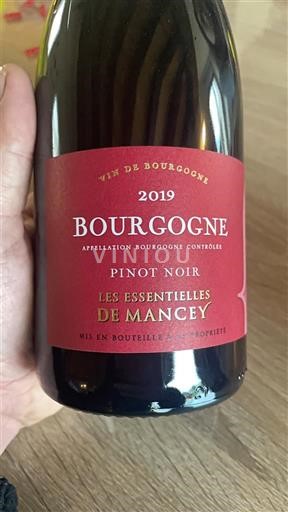 Vina Rouge sec Les Essentielles De Mancey 2019 Francija Burgundija AOC