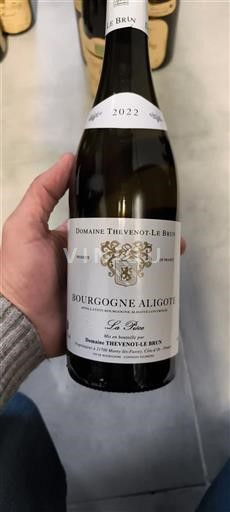 Burgundsko Bourgogne-aligoté Domaine Thevenot-Le Brun La Roche 2022