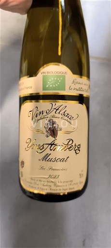 Alsace Ikke specificeret Yves Amberg 2023