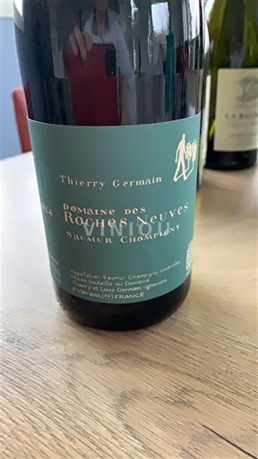 Loirevallei Saumur-champigny Domaine S Roches Neuves Niet-geïntegreerd