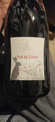 Loiretal Anjou Domaine S Forges Poil de Lièvre 2020