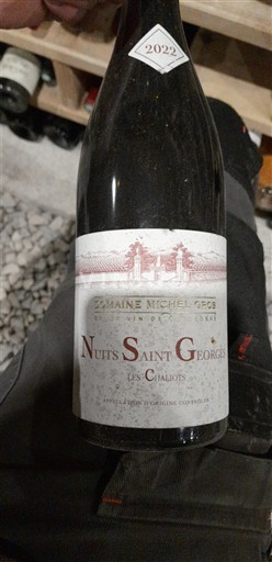 Burgundija Nuits-Saint-Georges Domaine Michel Gros Les Chaliots 2022