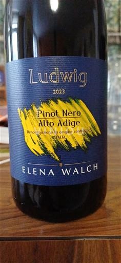 Vénétie Valdadige Elena Walch Ludwig 2023