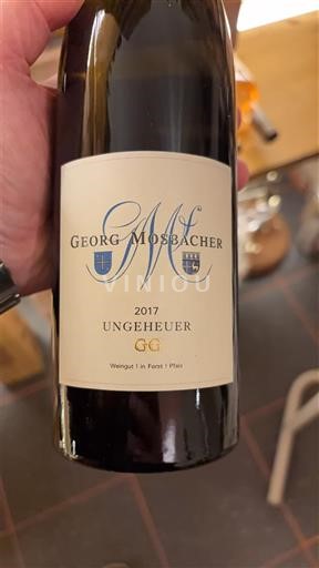 Pfalz Georg Mosbacher Ungeheuer GG 2017