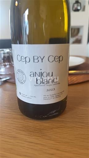 Alsazia Pinot bianco Cep by Cep 2023