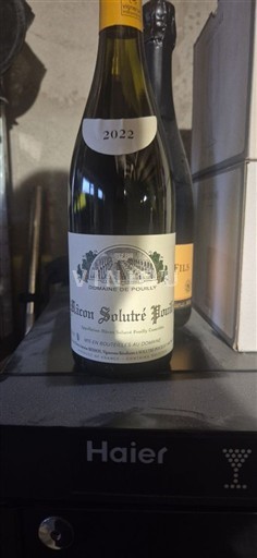 Burgundy Mâcon-Solutré-Pouilly Domaine Pouilly Besson 2022