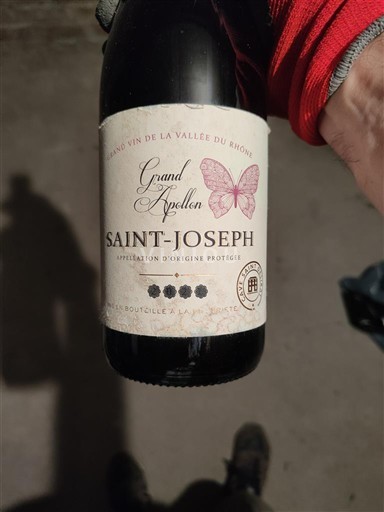 Valle del Ródano Saint-Joseph Grand Papillon 2023