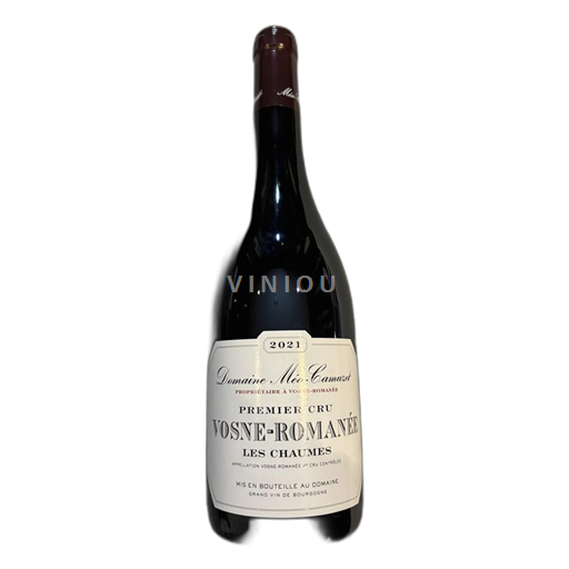 Burgundsko Vosne-romanée Premier Cru Domaine Méo-Camuzet Vosne-Romanée les chaumes 2021