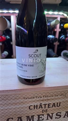 Vùng trồng nho được cấp phép California Sông Mokelumne Scout by Leo Ancient Bush Vine Zinfandel 2023