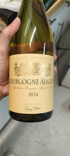 Burgundsko Bourgogne-aligoté Pierre Chave 2024