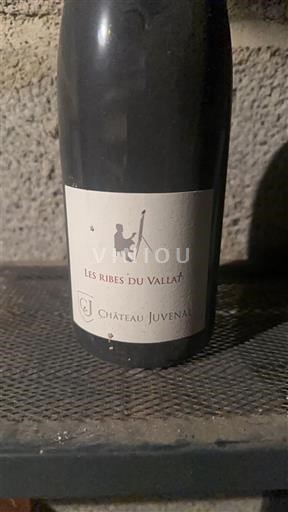 Rhône-dalen Ventoux Château Juvenal Les Ribes du Vallat 2014
