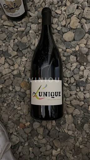 Údolí Loiry Chinon Famille Pierre Sourdais L'Unique 2021