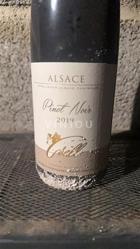 Alsace Gsell 2019