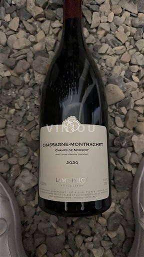 Burgundsko Chassagne-montrachet Domaine Lamy-Pillot Champs de Morjot 2020